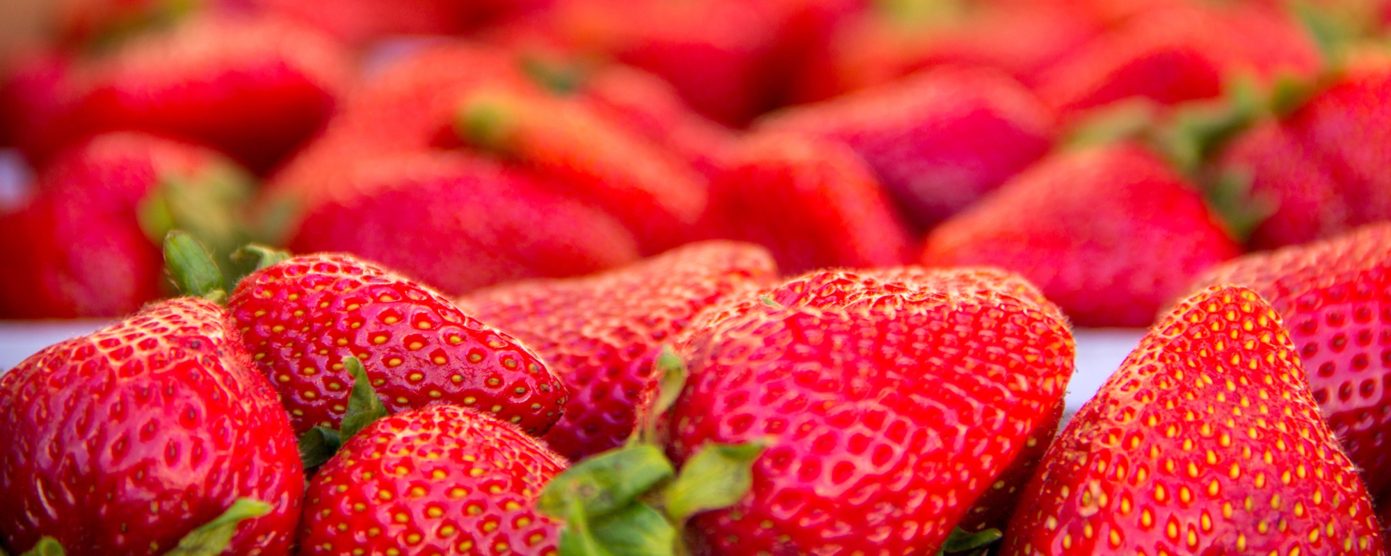 Picture of lots of fresh strawberries