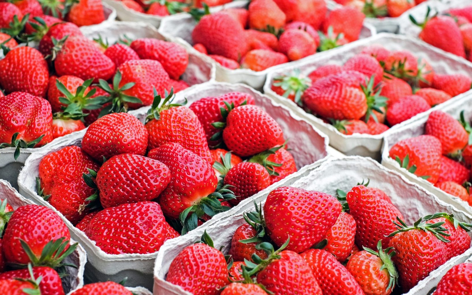 Fresh Strawberries