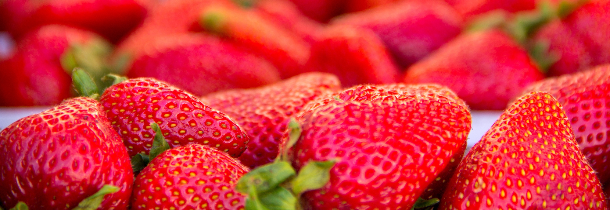Fresh Strawberries in close up