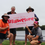 Hammon Farm, strawesome family