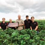 Stothart family farm photo
