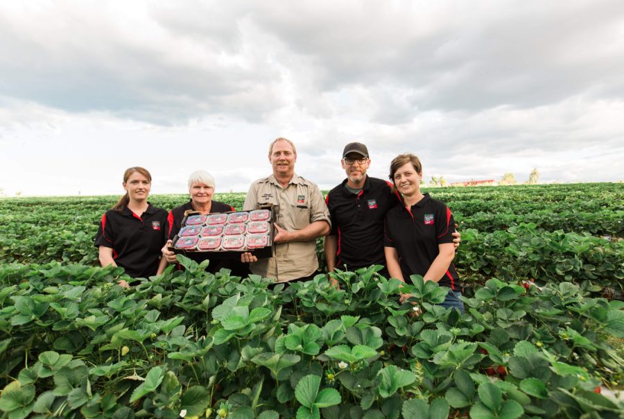Stothart family farm photo
