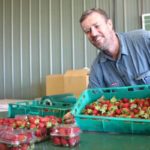 Wellington Point farmer